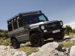 Mercedes-Benz G300 CDI Professional 2010 года